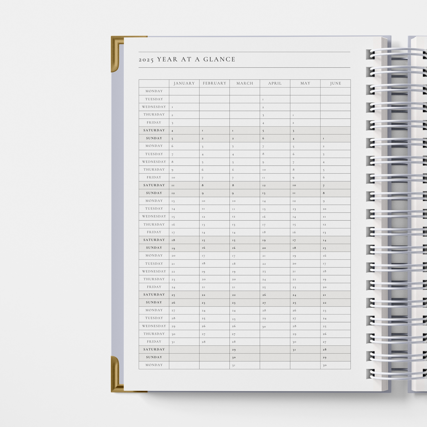 DAILY 2025 PLANNER -  OLD MONEY (pre-order delivery end November)