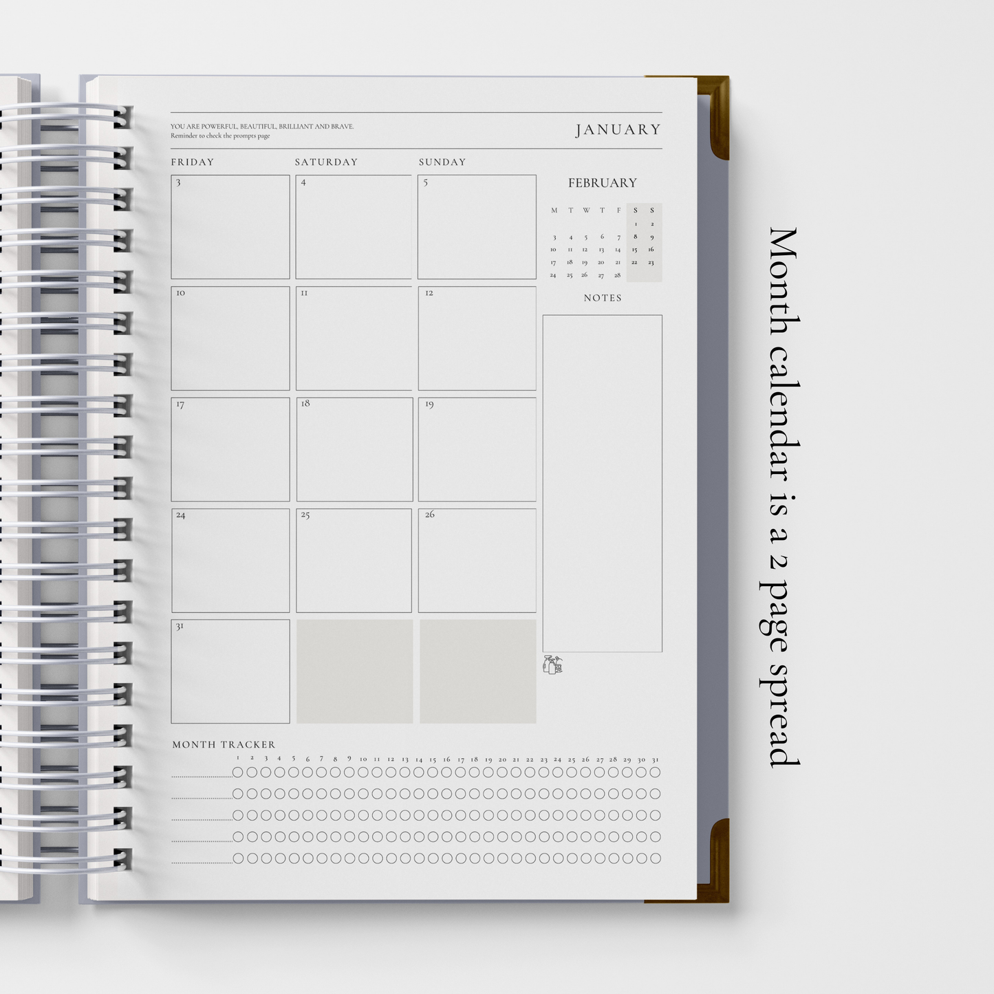 DAILY 2025 PLANNER -  OLD MONEY (pre-order delivery end November)