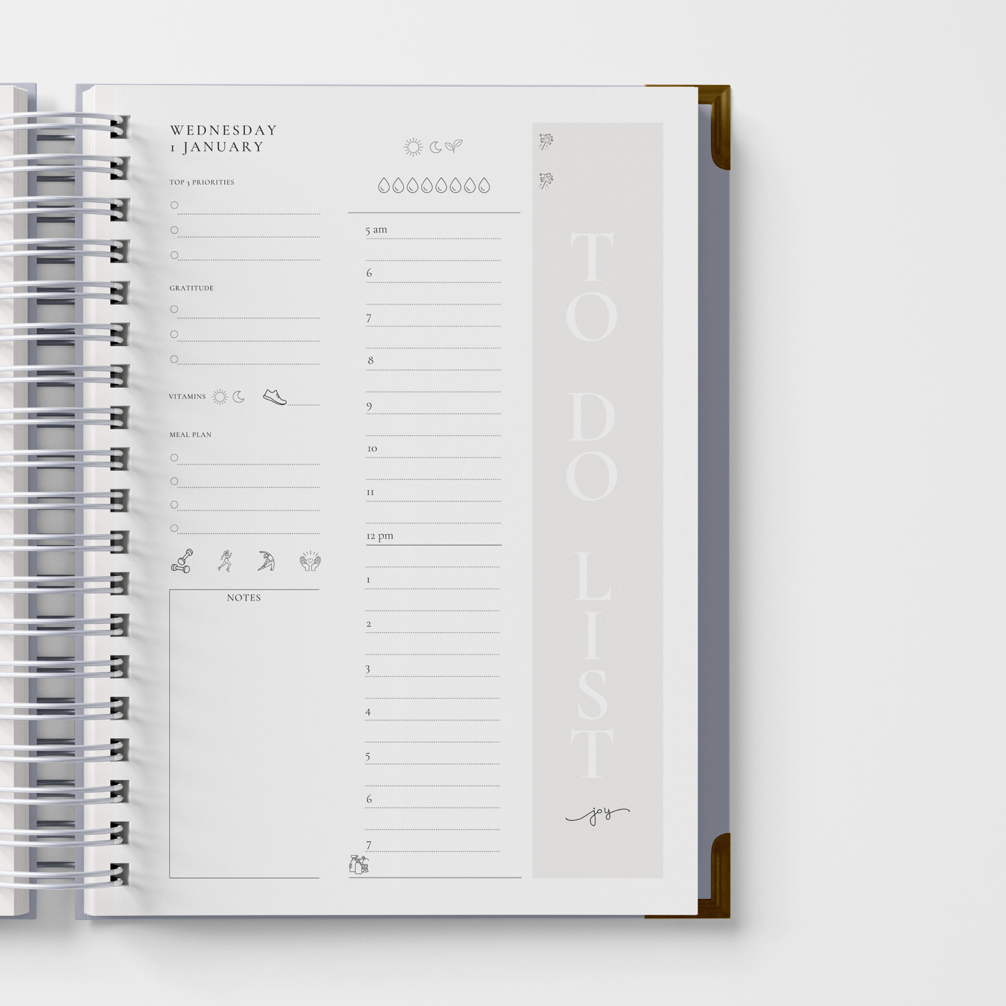 DAILY 2025 PLANNER -  OLD MONEY (pre-order delivery end November)