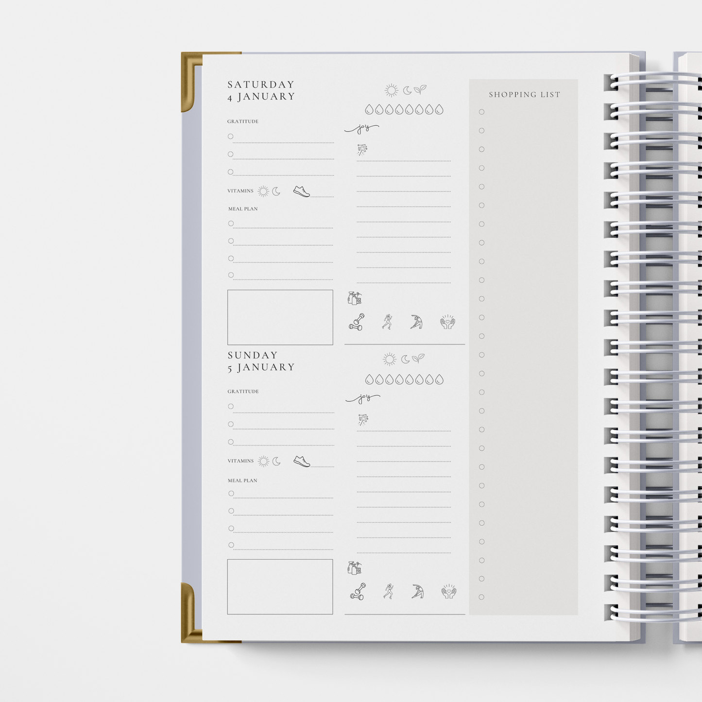 DAILY 2025 PLANNER -  OLD MONEY (pre-order delivery end November)