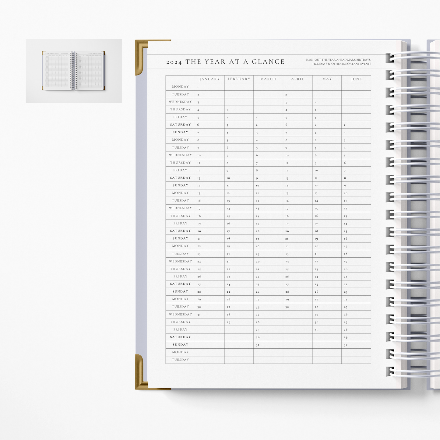 DAILY 2024 DL PLANNER -  NYX